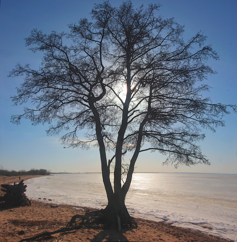 *** - Сергей Григорьев