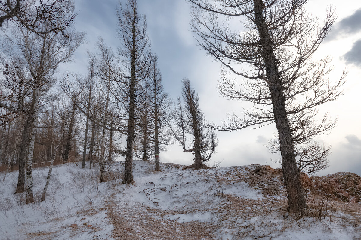 Торгашинский хребет - Марина Фомина.
