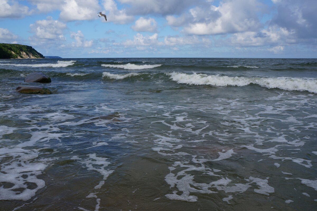 Над морем .... - Алёна Савина