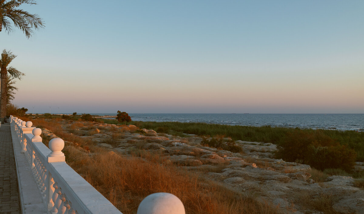 *** - Елена Алексеева