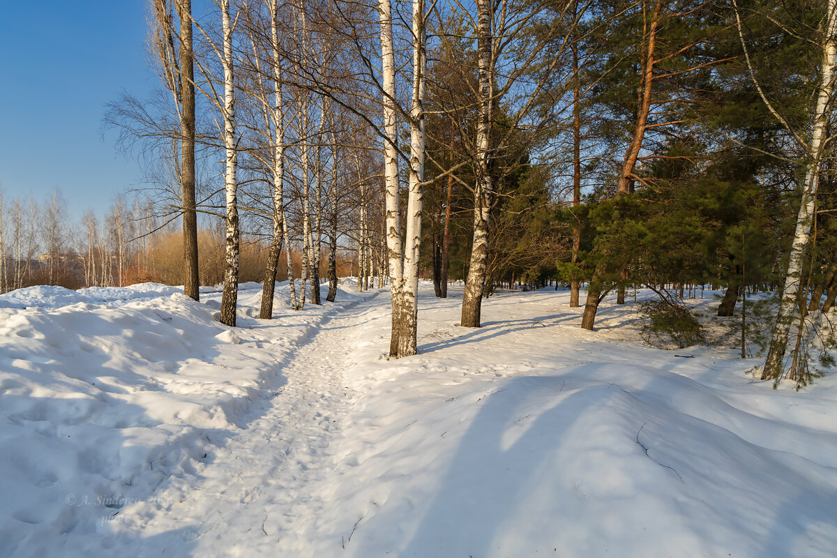 Пейзаж ранней весны - Александр Синдерёв