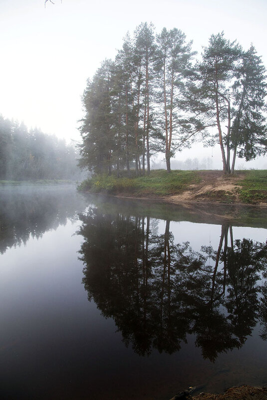 Утро туманное - Сергей Сомихин