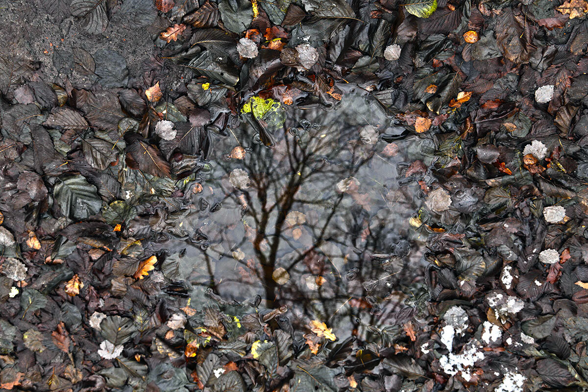 Осеннее отражение - Сергей Сомихин