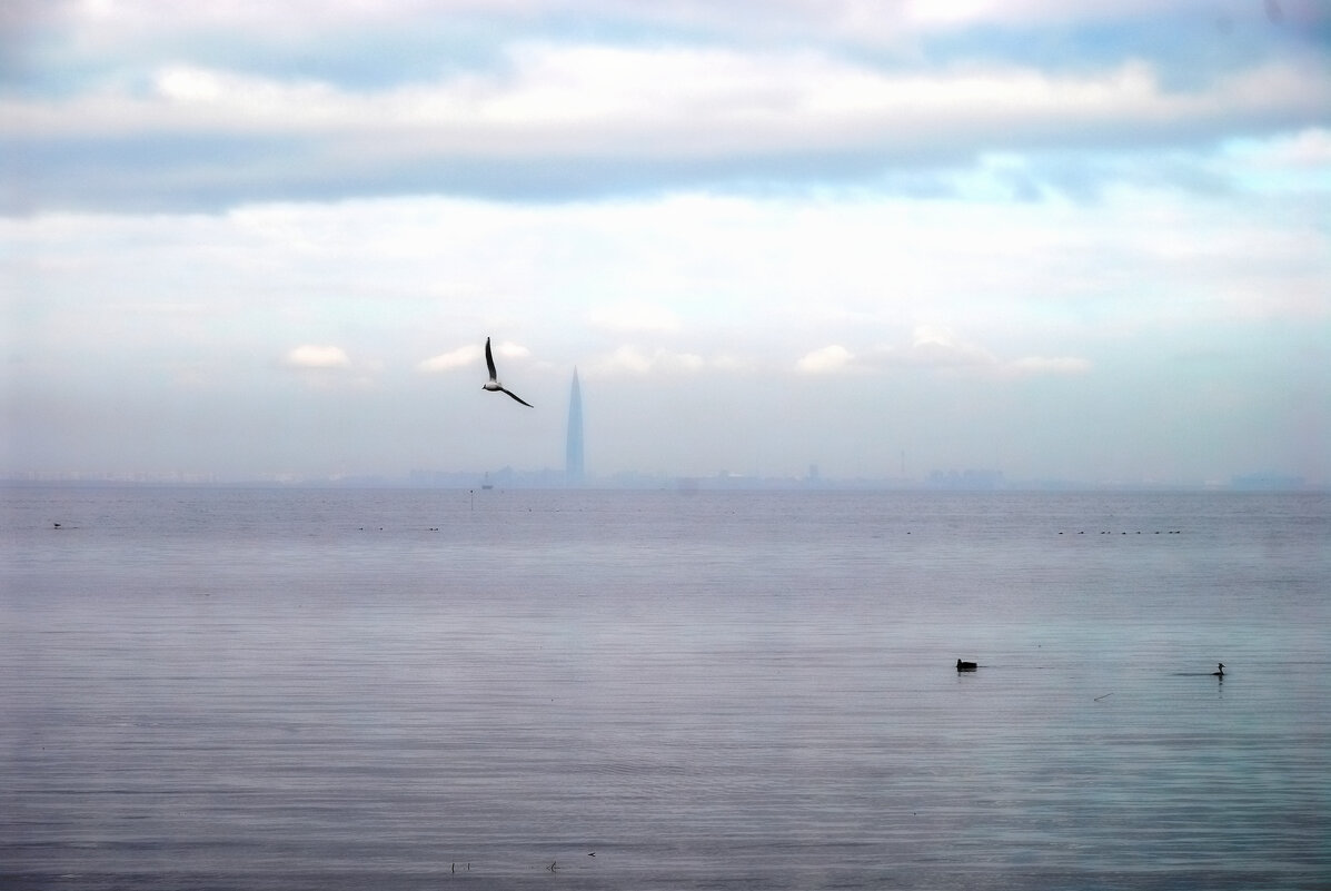 Лахта Центр - Евгений Екимов