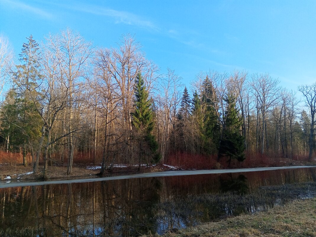 Весна - Сапсан 