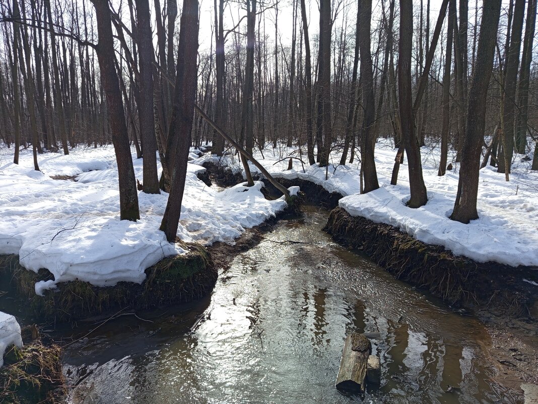 Март в Измайловском парке - Андрей Лукьянов