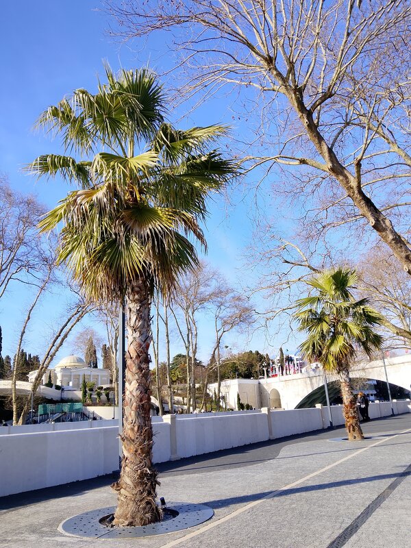 Новая набережная реки Сочи - Tata Wolf