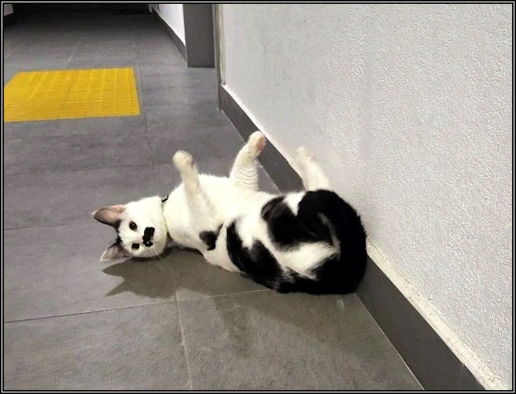 Встреча в холле. - Ольга Довженко