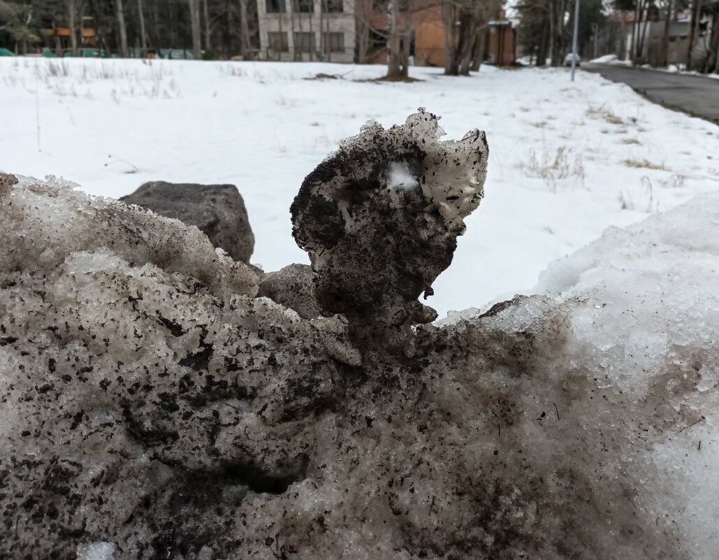 Забавы природы ) - Veera V