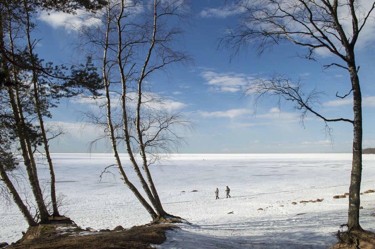 Весеннее утро......... - Юрий Цыплятников