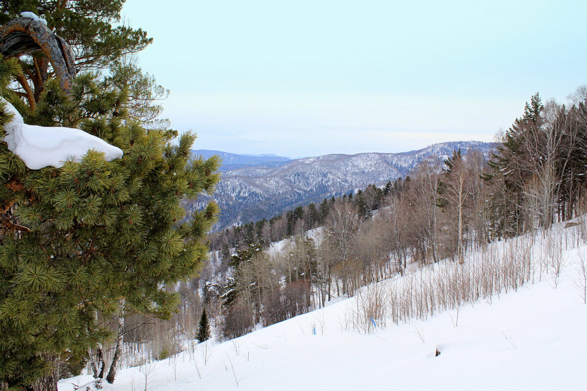 Панорама с горы Церковка - Татьяна Лютаева