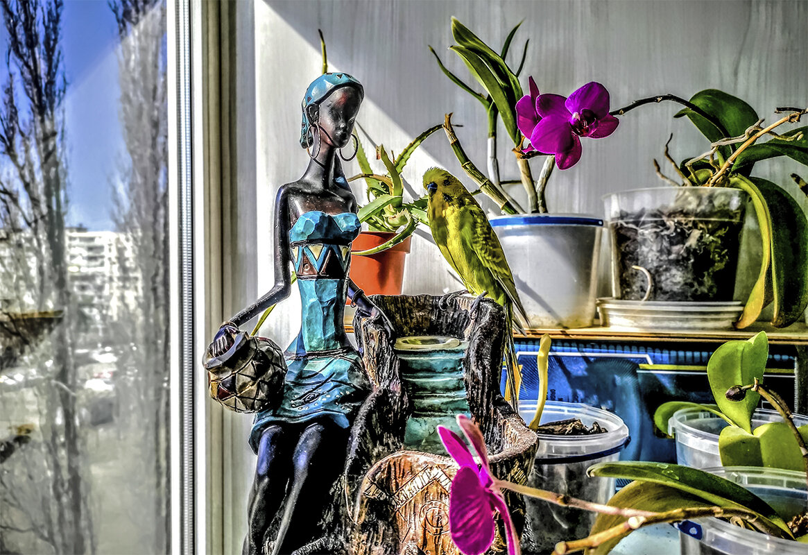 Романтическое свидание - Alexandеr P