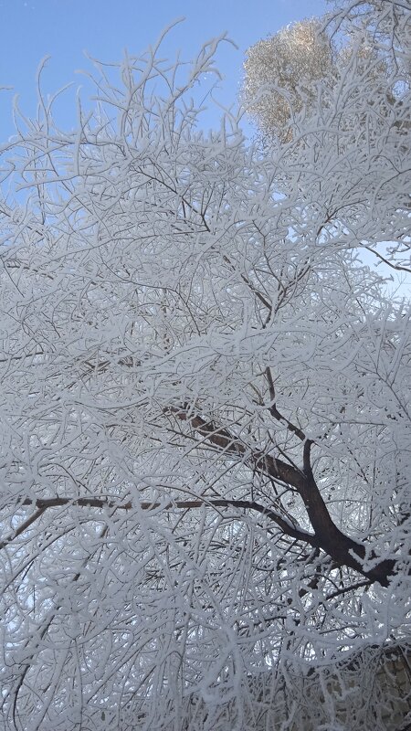 март - Елена Шаламова