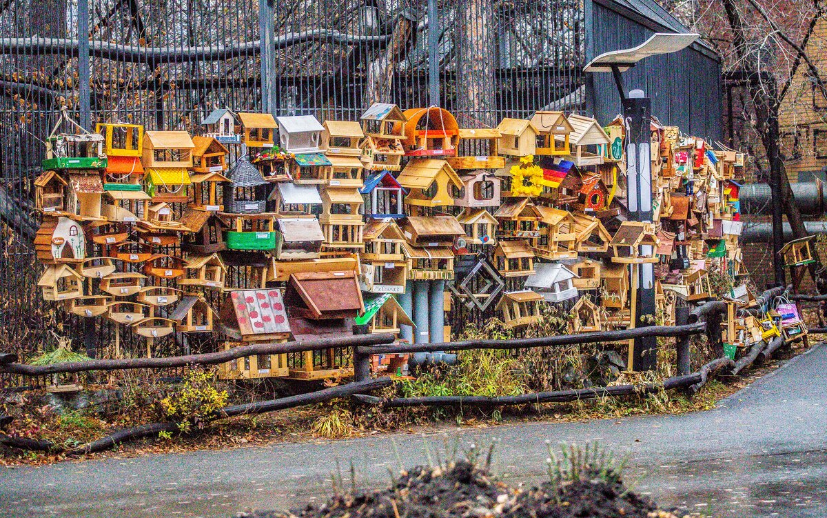 фавелы - Аркадий Лаптенко