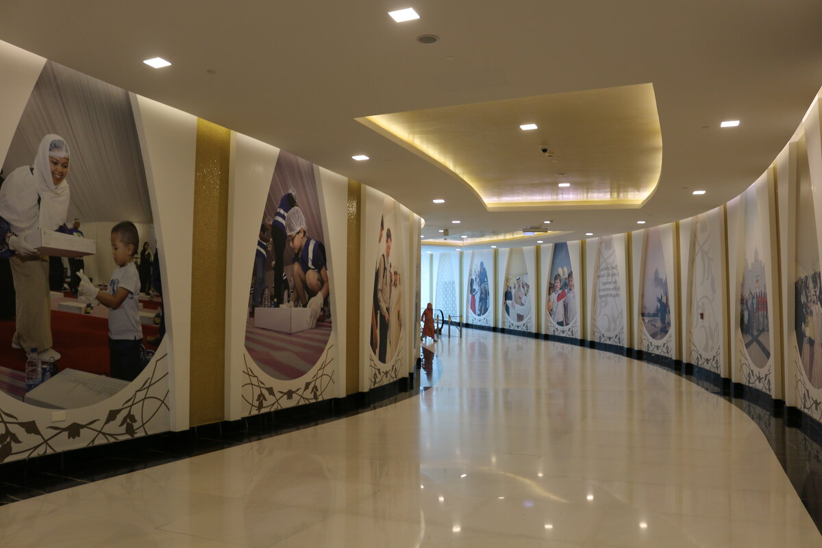 Дорога в мечеть шейха Заида - Ольга 