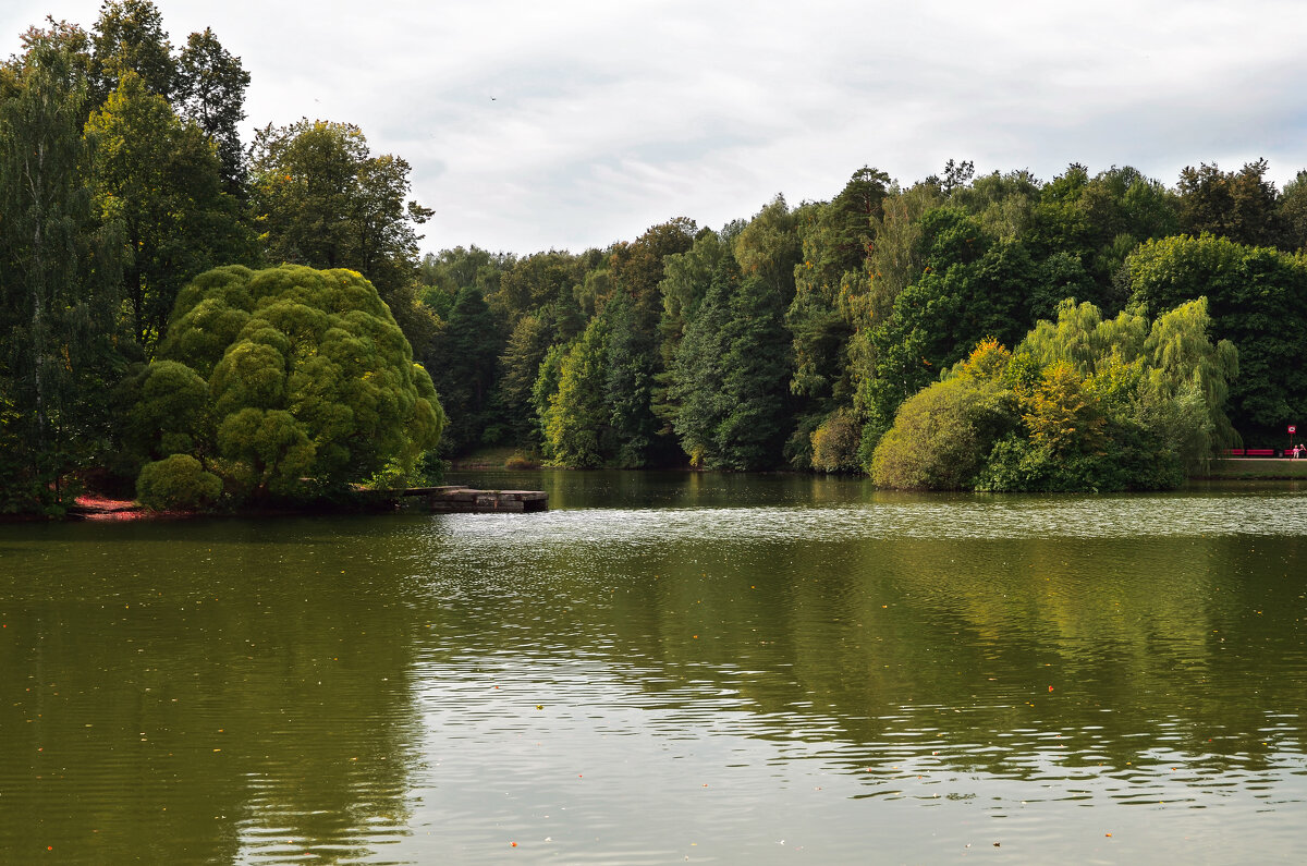 Пруд - Валерий Пославский