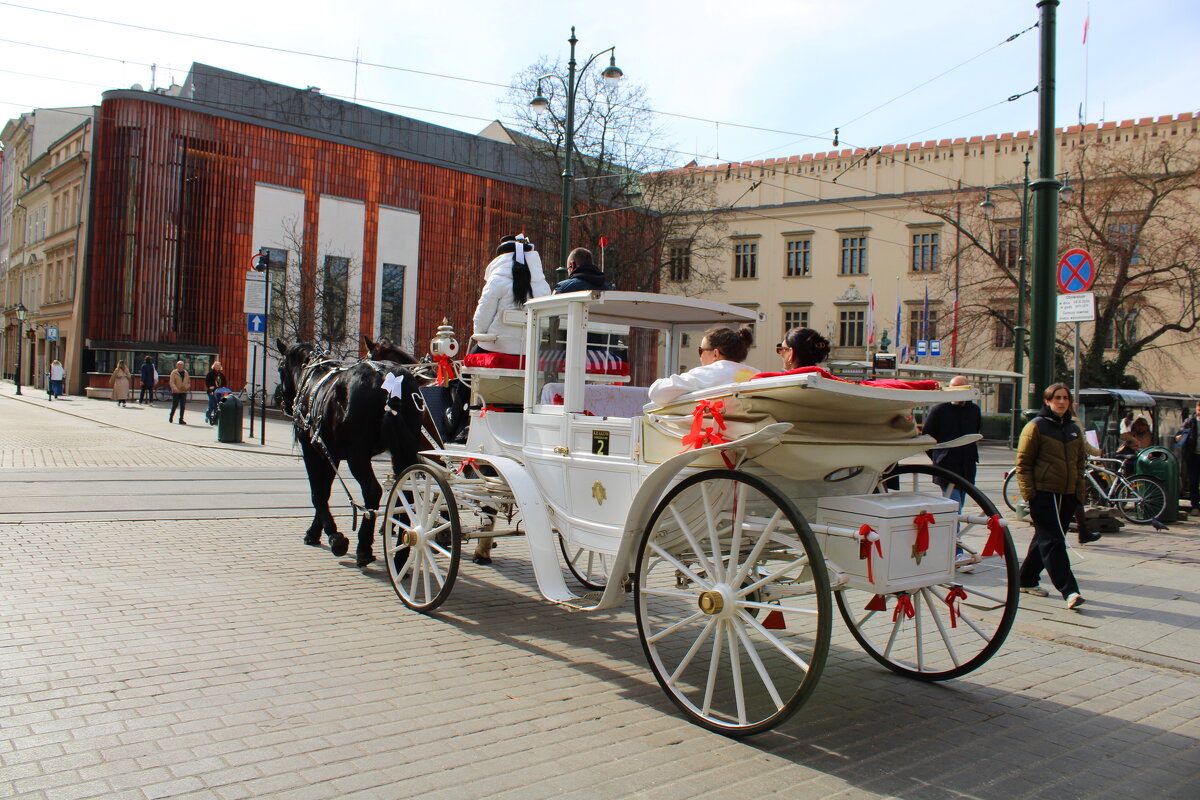 Краков - Александр Винников