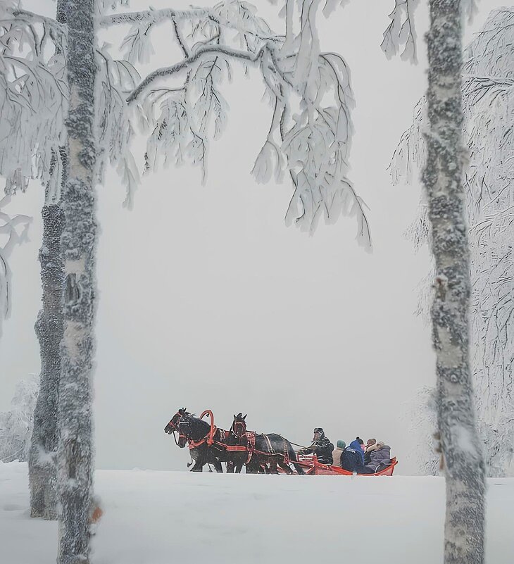 Вот мчится тройка - Лариса С.