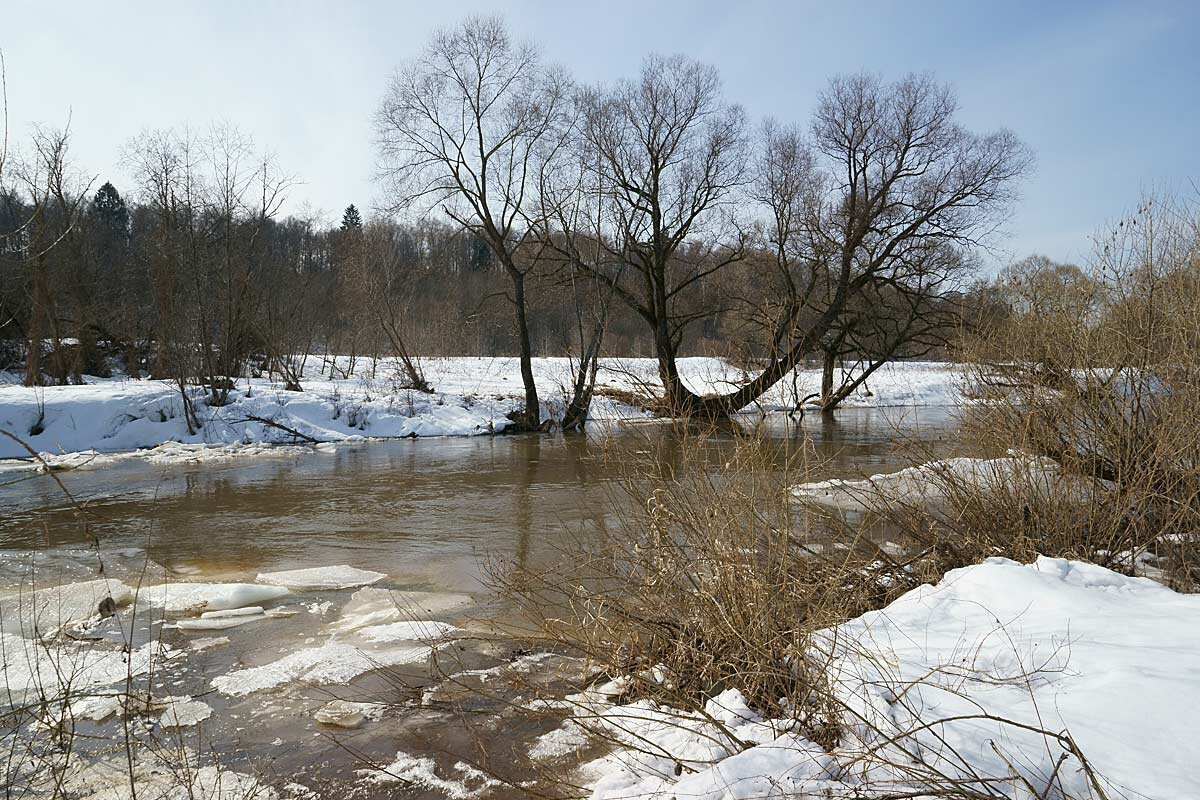 Ледоход на Протве - Сергей Курников