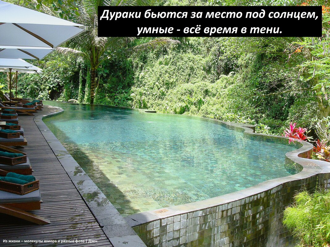 Где-то когда-то в джунглях на Бали - svk *