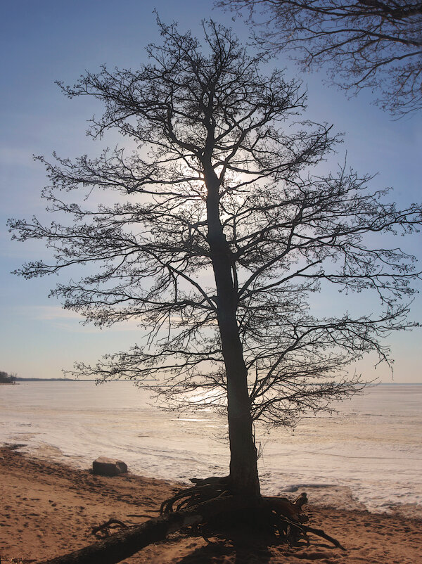 *** - Сергей Григорьев