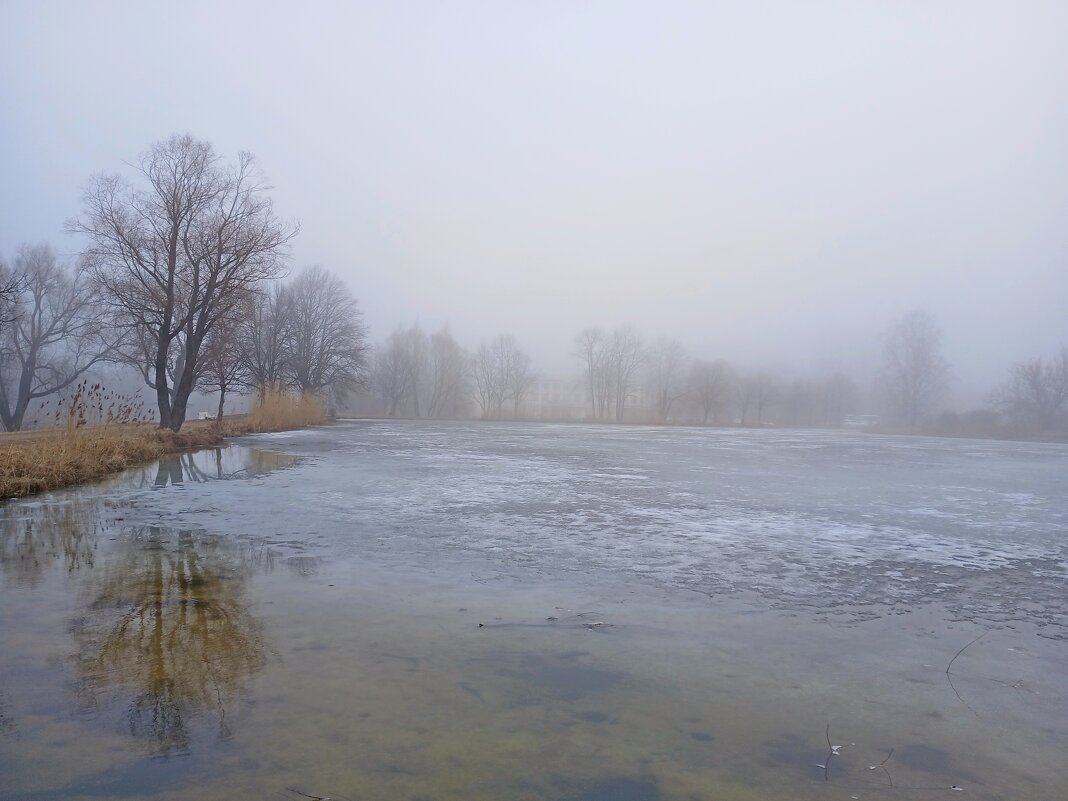 Туман и немного льда в холодной воде... - Лия ☼