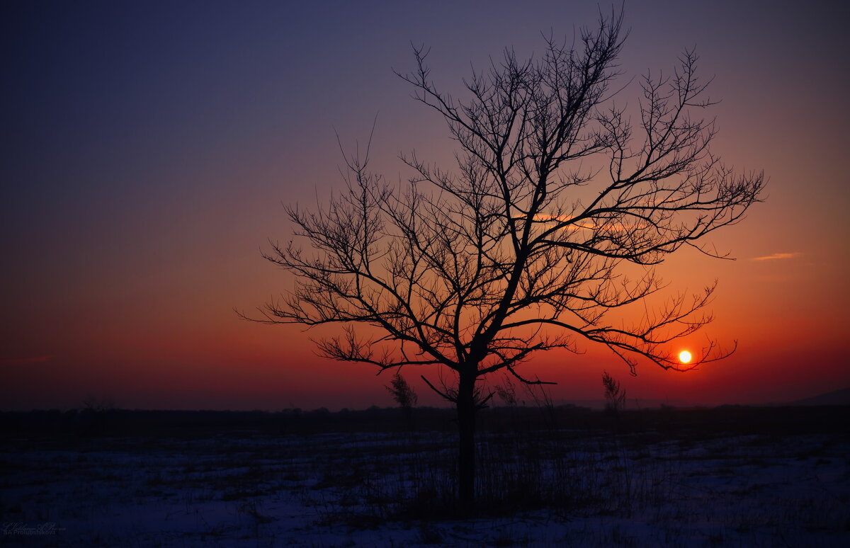 Забытое - Svetl@n@ Prolubshchikov@