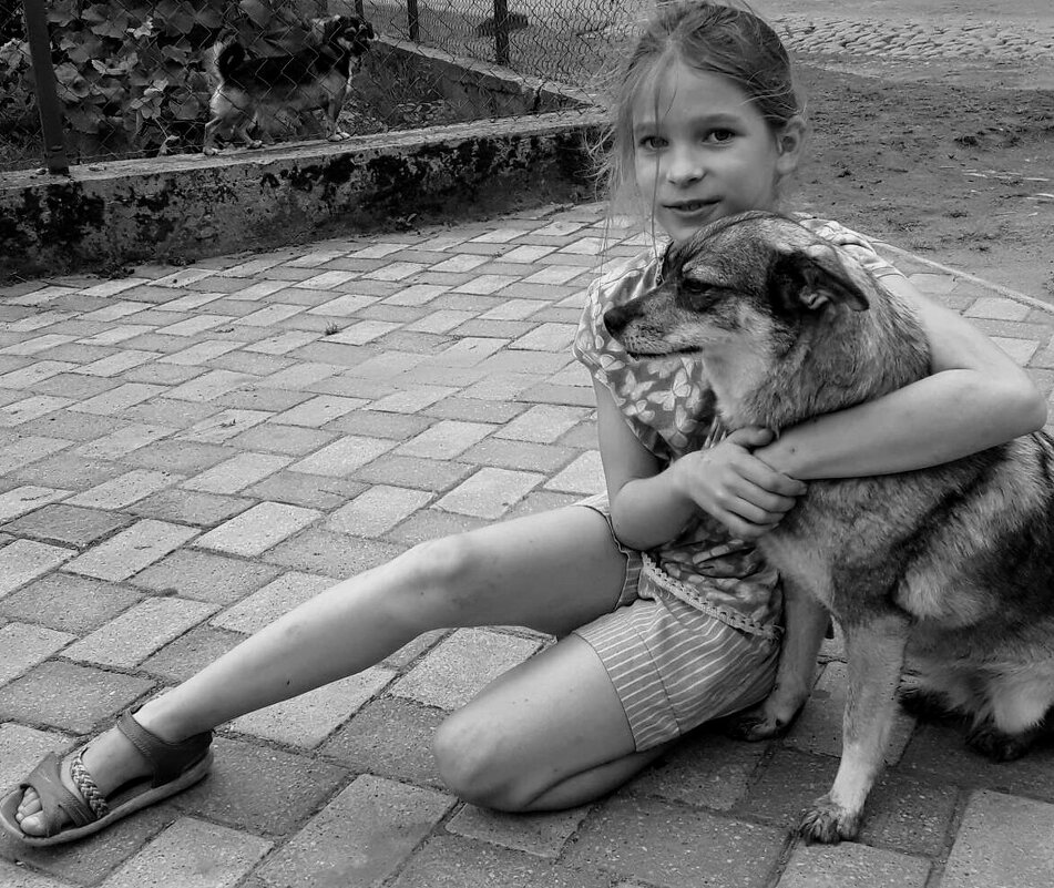 Девочка и собачки - Георгиевич 