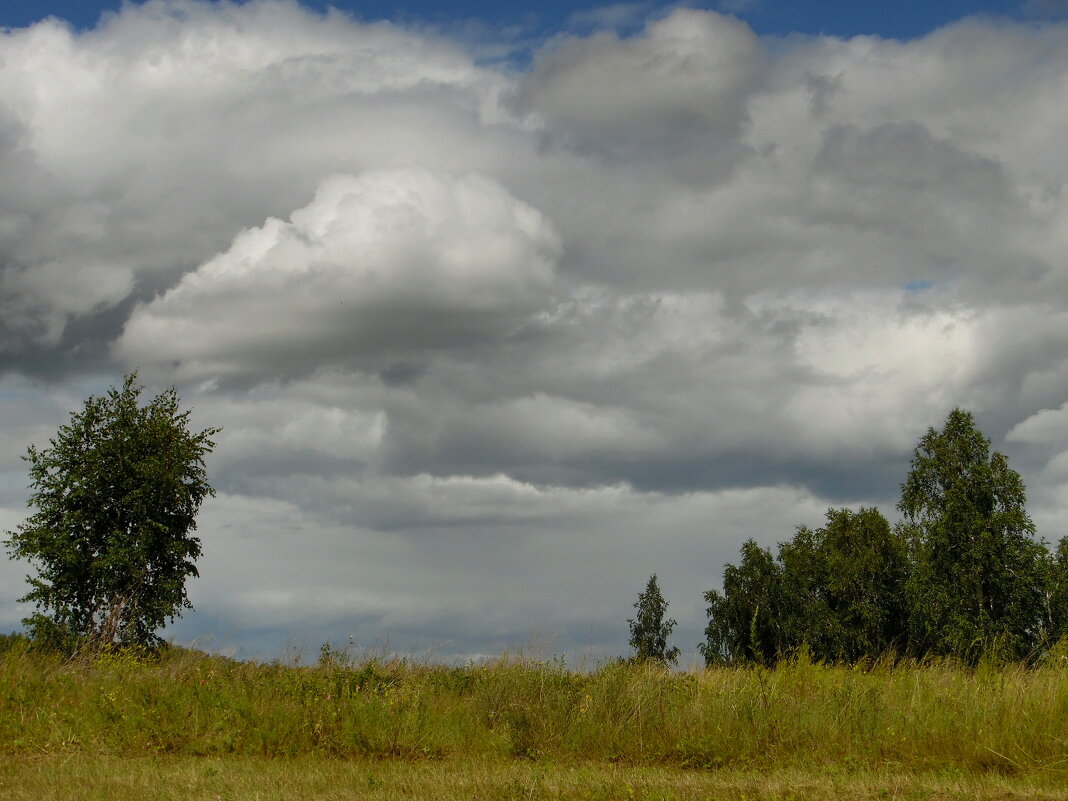 Туча. - nadyasilyuk Вознюк