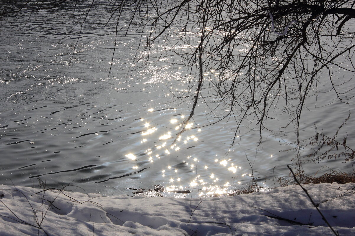 Стайка зайчиков - Евгений Корьевщиков Стайка зайчиков - Евгений Корьевщиков