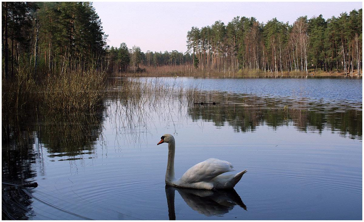 *** - Aleksandr Gal *** - Aleksandr Gal