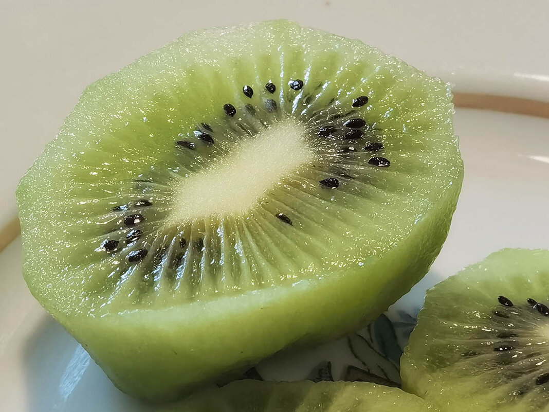 Киви. - Лилия *