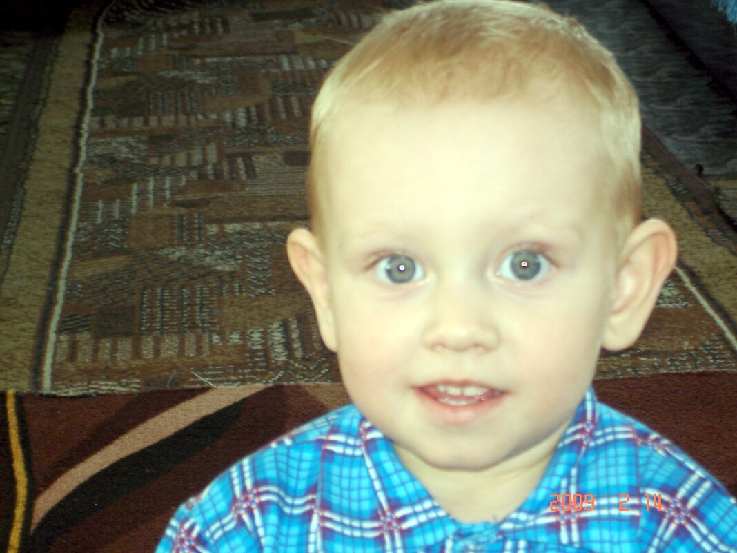 ванек - Наталья Штанулина