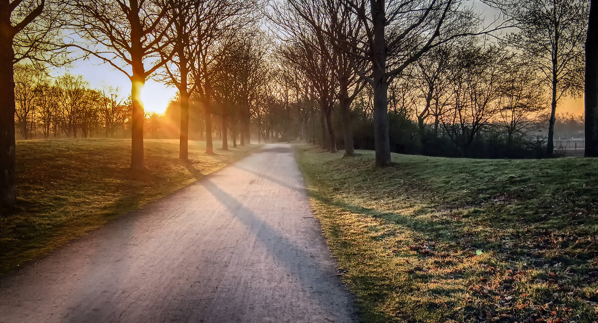 **** - Андроник Александр **** - Андроник Александр