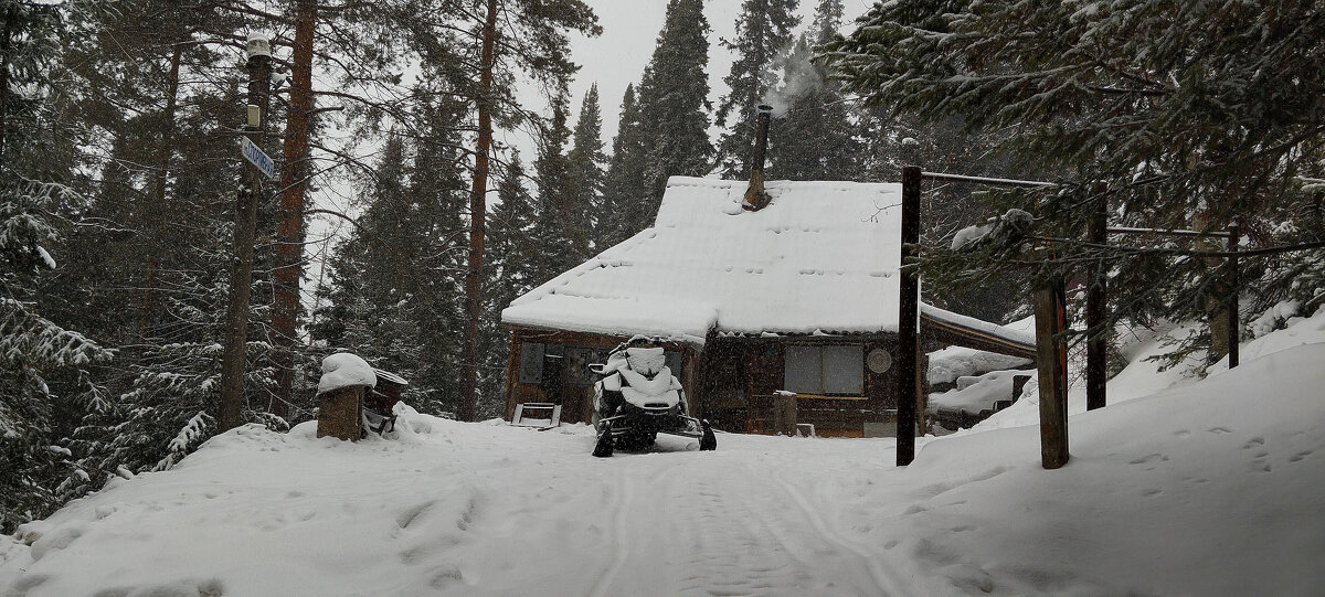 Снежный день. - Радмир Арсеньев
