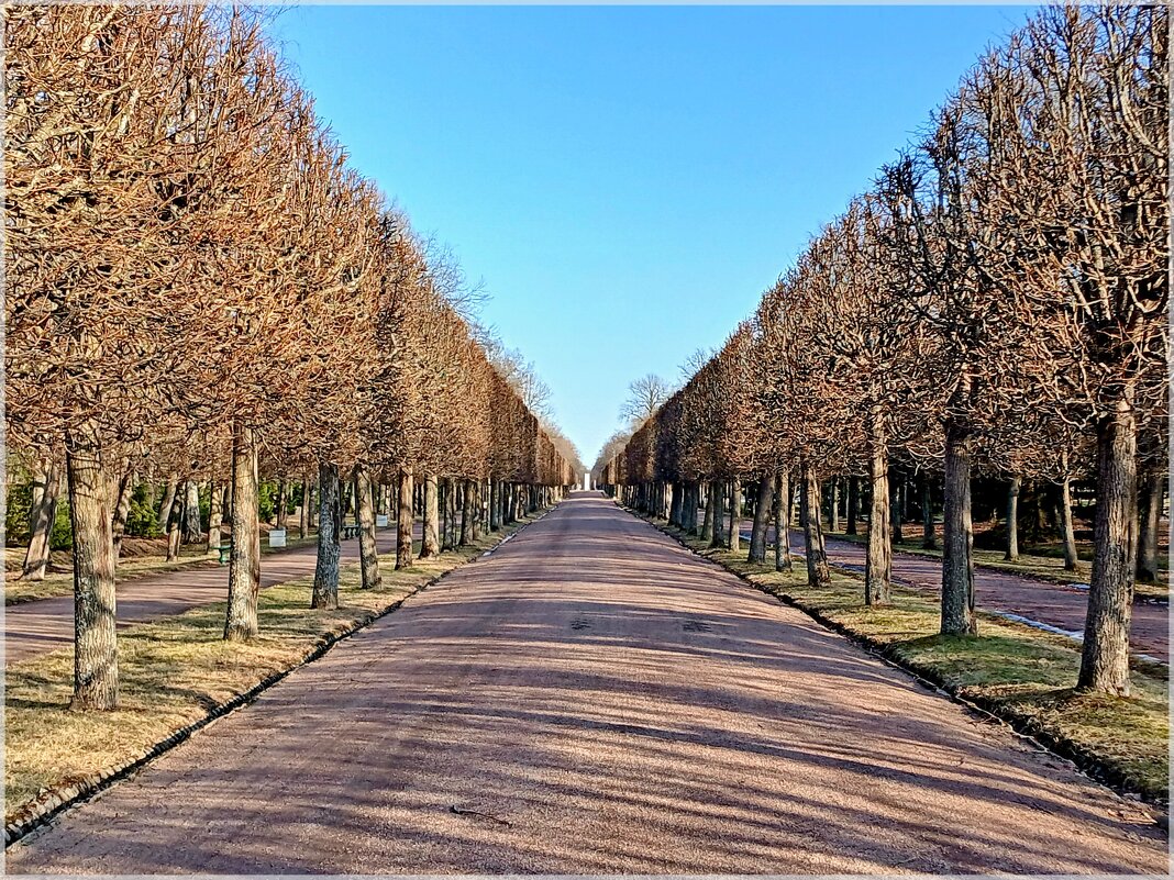 Мартовская геометрия. - Лия ☼ Мартовская геометрия. - Лия ☼