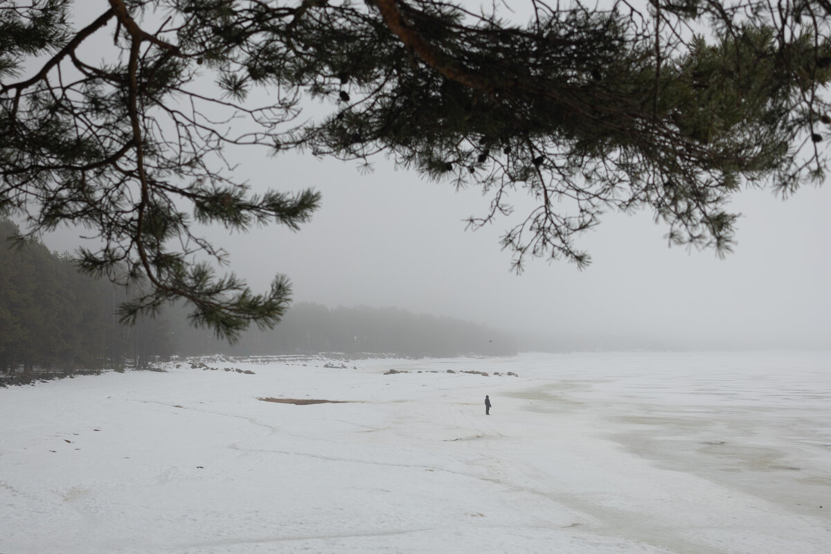 * - Светлана Воробьева