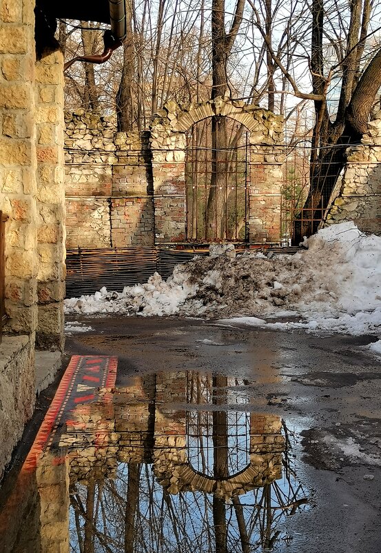 И снова отражение. - Любимова Ольга И снова отражение. - Любимова Ольга