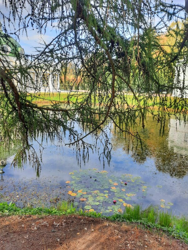 Кусково - Irene Irene