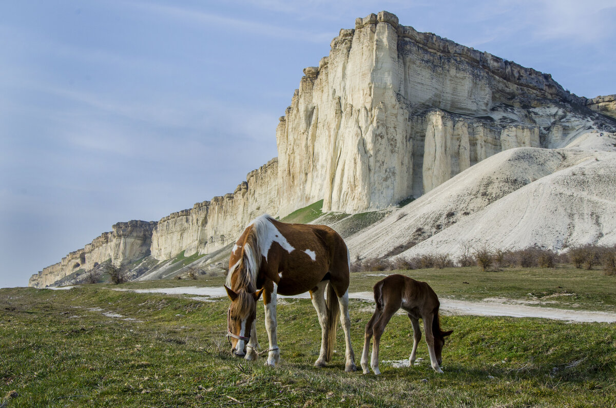 У подножия белой скалы - Сергей Старков У подножия белой скалы - Сергей Старков