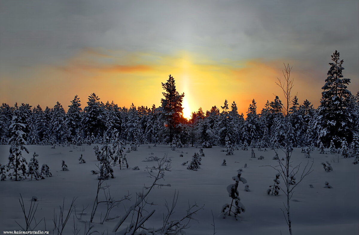 Утро на Севере - Игорь Корф