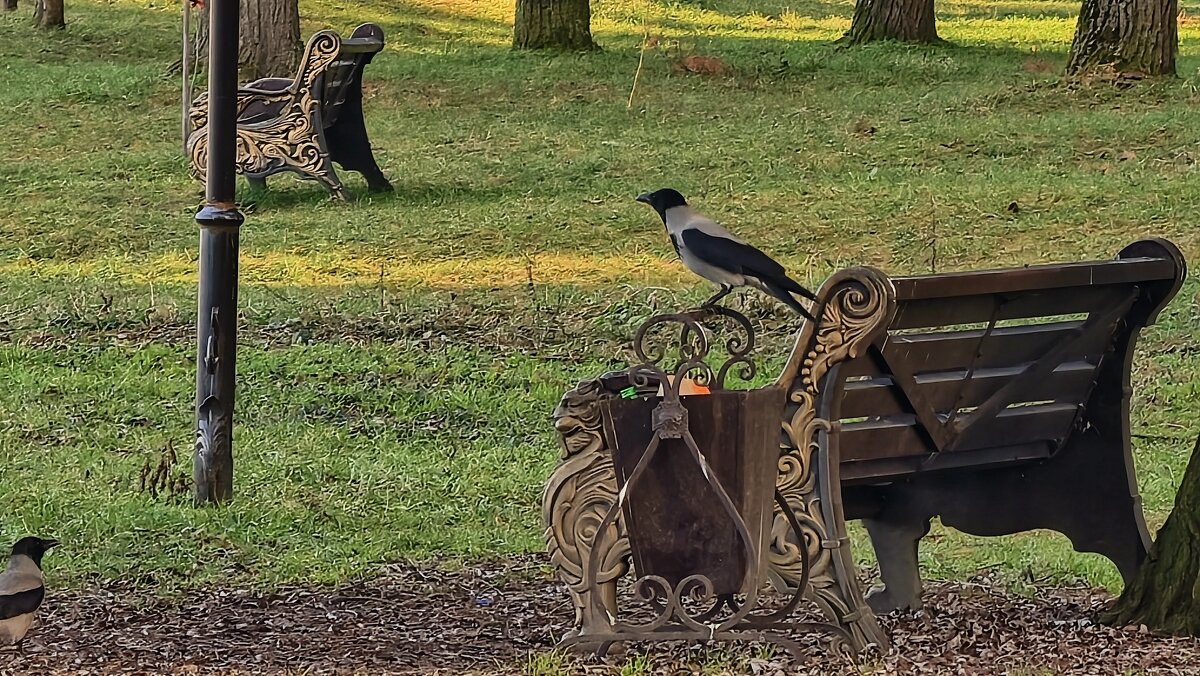 В парке - Мариша 