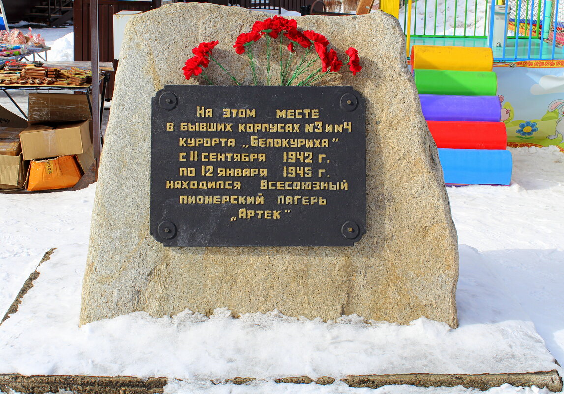 Алтайский Артек - Татьяна Лютаева