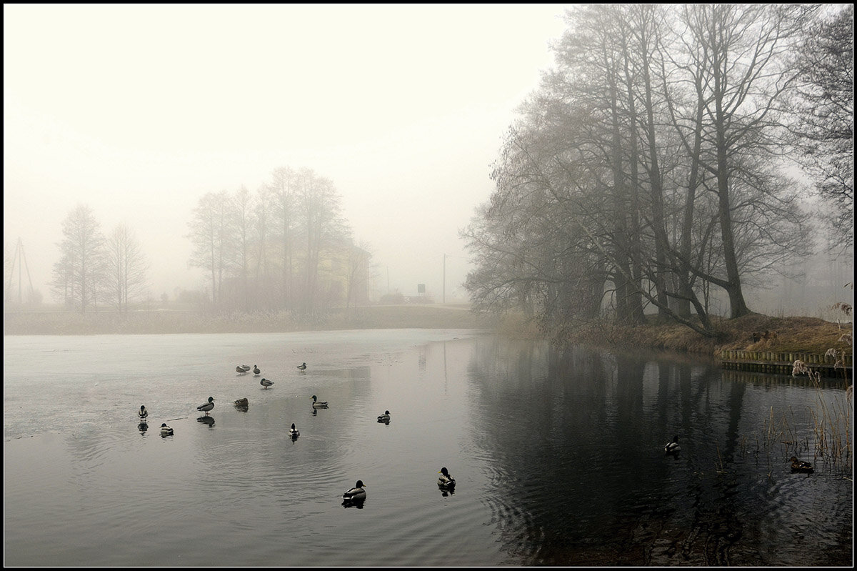 *** - Aleksandr Gal *** - Aleksandr Gal