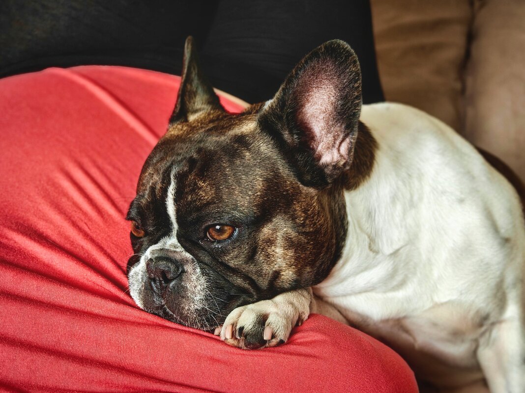 Матильда - Александр Гапоненко Матильда - Александр Гапоненко