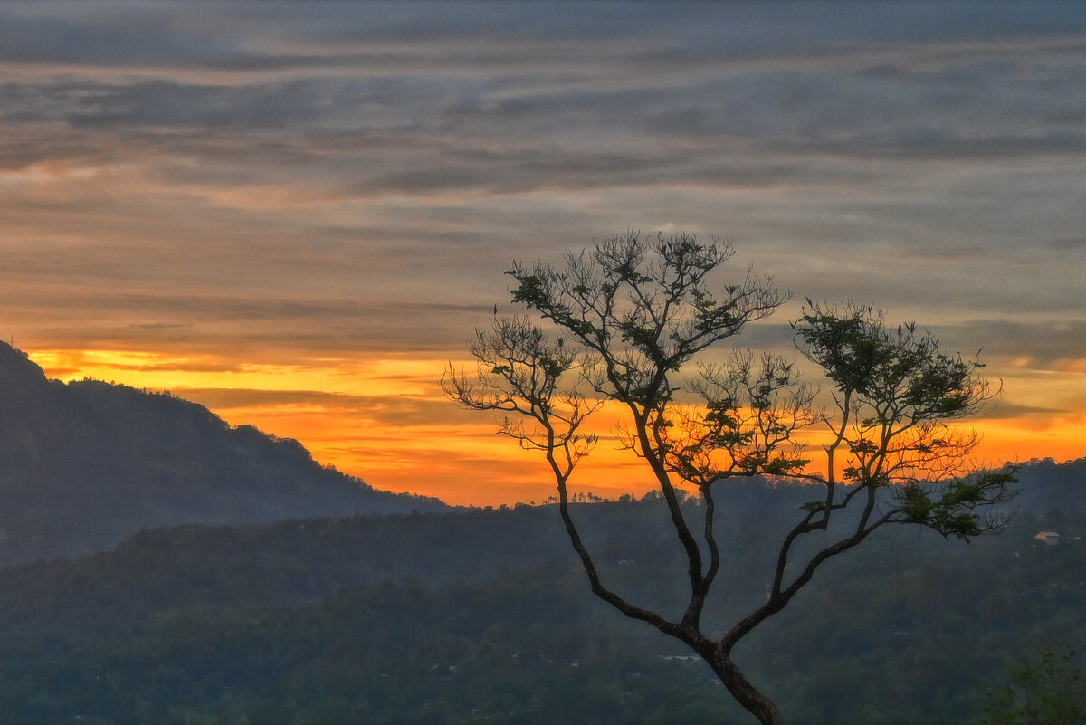 Шри-Ланка. Атмосфера. - Александр Беляков Шри-Ланка. Атмосфера. - Александр Беляков