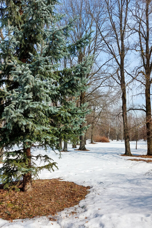 Весна. - Владимир Безбородов
