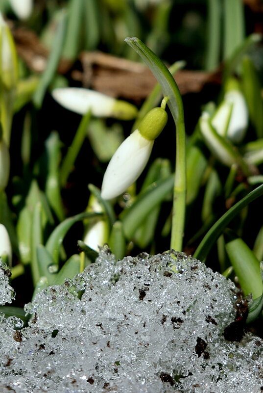 Началось! - Александр Кондаков Началось! - Александр Кондаков