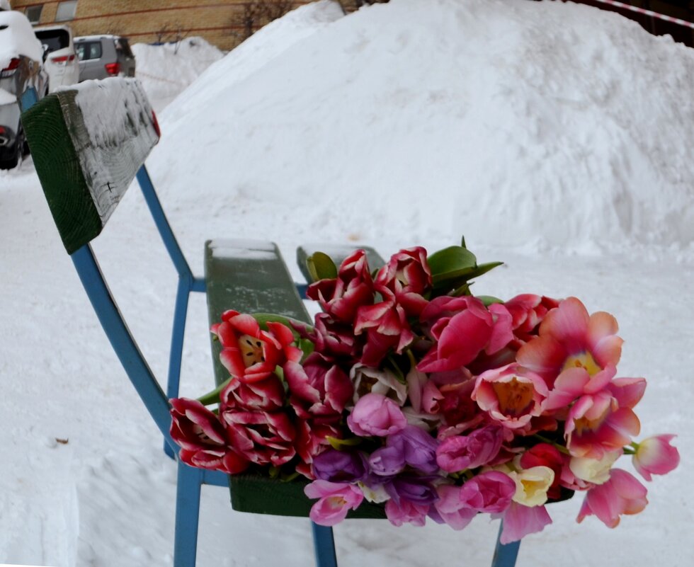 во дворе - Таня Фиалка во дворе - Таня Фиалка