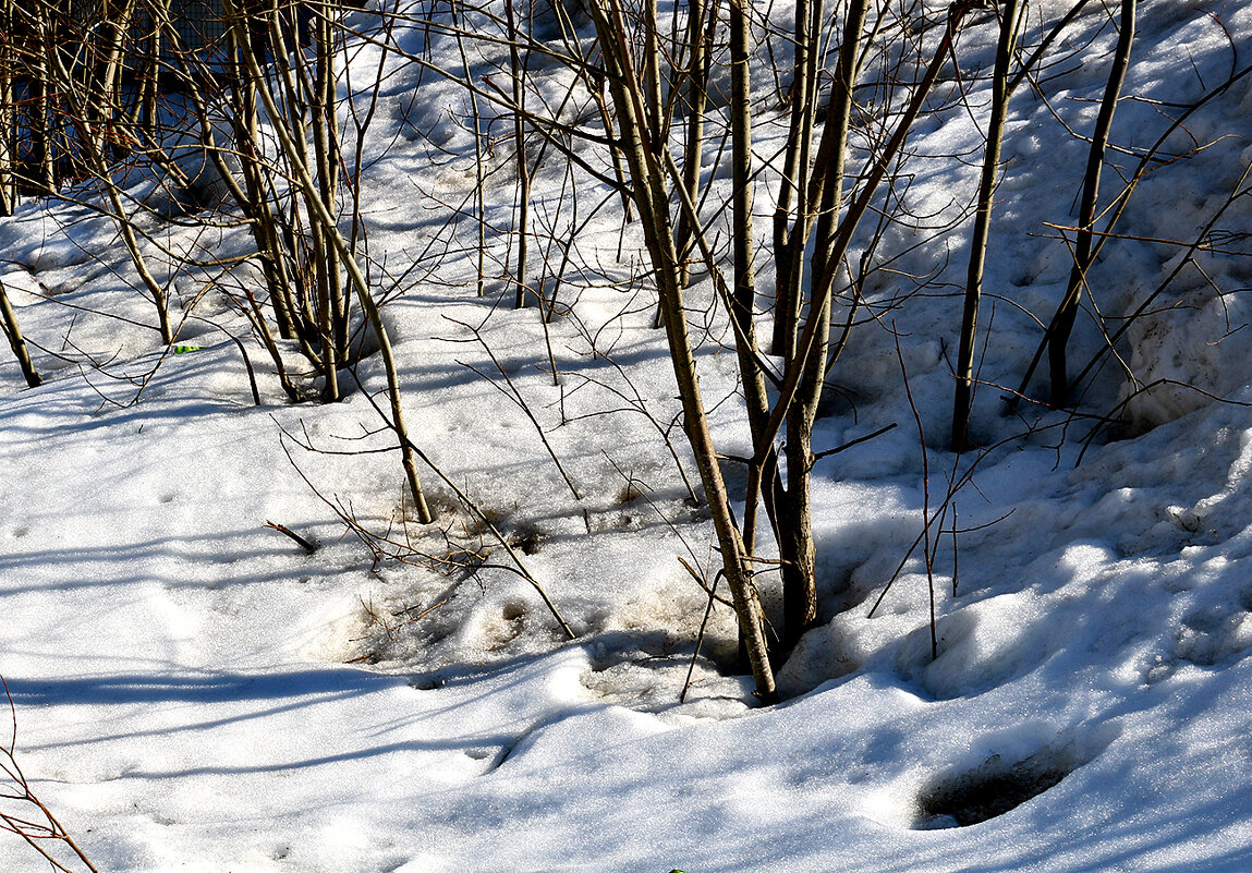 Снег и тени - Светлана 